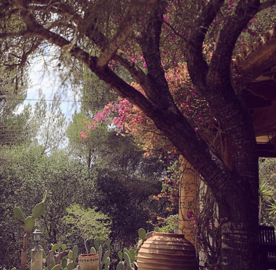 Finca Ses Eres Artá Exterior foto